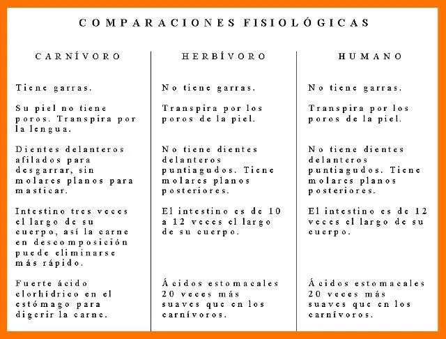 Comparaciones fisiológicas entre animales carnívoros y herbívoros ...