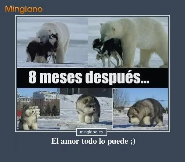 Comparte con tus amigos esta divertida imágen de amor entre un ... Comparte con tus amigos esta divertida imágen de amor entre un ...