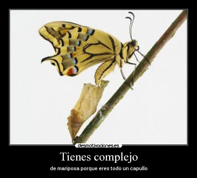 Carteles de Mariposa Pag. 75 | Desmotivaciones