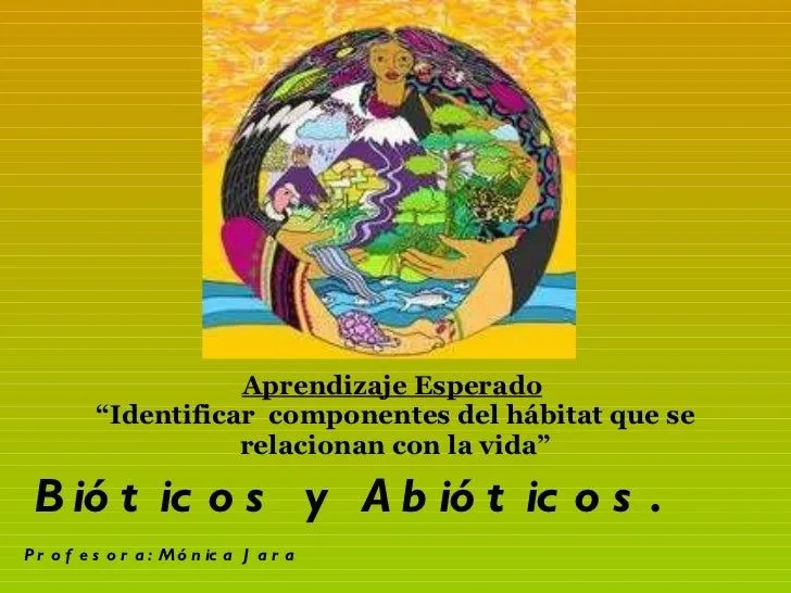 Componentes bióticos y abióticos