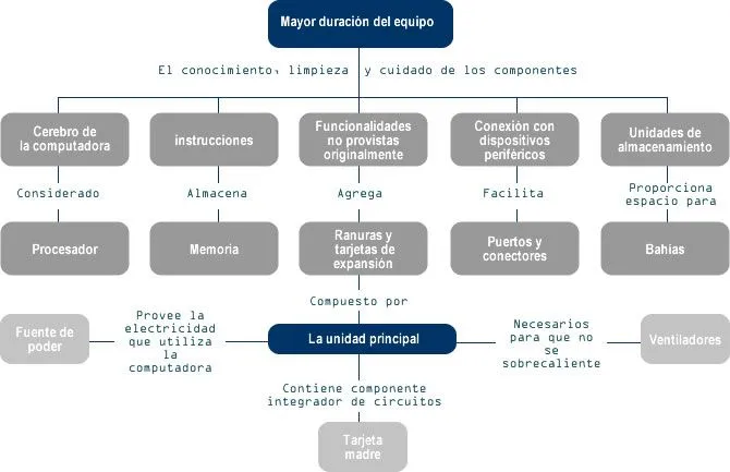 Uso de los componentes físicos de la computadora