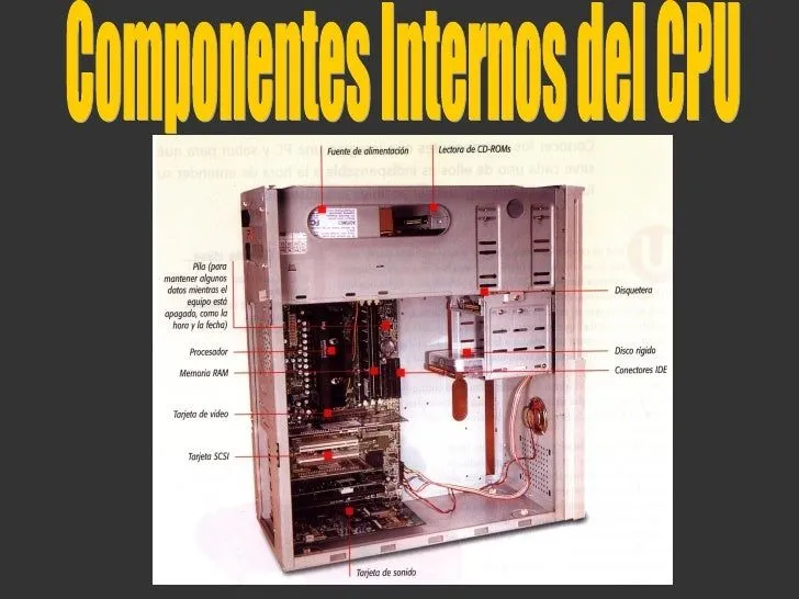 Componentes Internos Del Computador