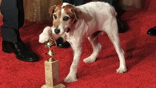 Comportamiento de perros, comportamiento de gatos, comportamiento ... Comportamiento de perros, comportamiento de gatos, comportamiento ...