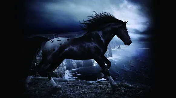 Compra caballo negro fondo de pantalla online al por mayor de ... Compra caballo negro fondo de pantalla online al por mayor de ...