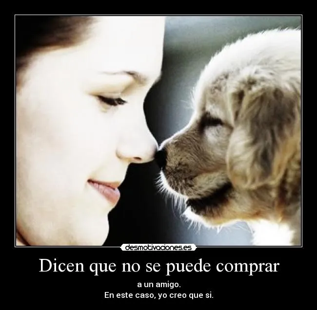 Dicen que no se puede comprar | Desmotivaciones Dicen que no se puede comprar | Desmotivaciones