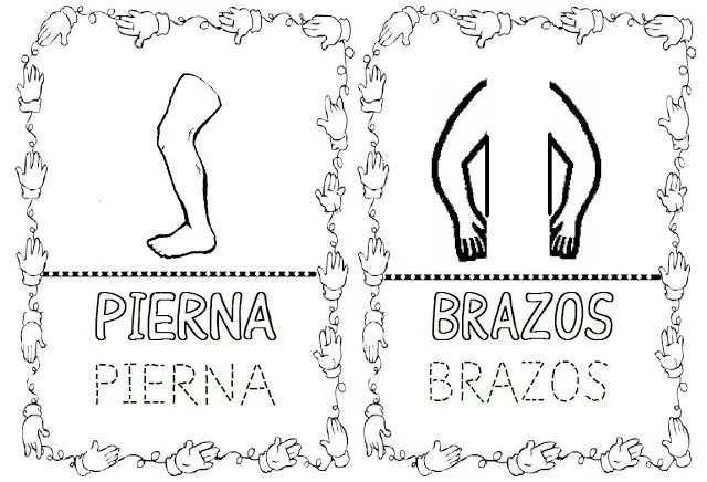 COMPROMETIDOS CON FE EN LA CAUSA: PARTES DEL CUERPO HUMANO PARA ... COMPROMETIDOS CON FE EN LA CAUSA: PARTES DEL CUERPO HUMANO PARA ...