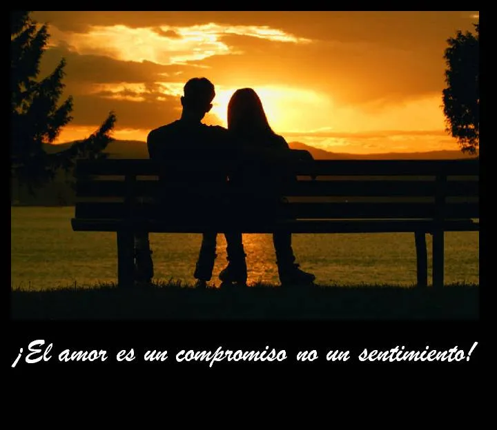 Compromiso no sentimiento | En mis letras