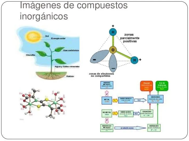 compuestos-orgnicos-e- ...