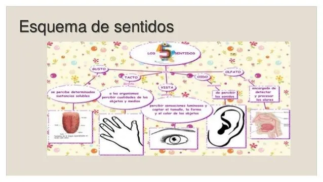 computacin-organizadores- ...