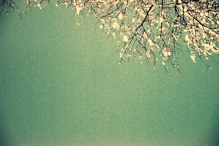 Computer Wallpaper on Pinterest | Wallpaper Pc, Desktop Wallpapers ... Computer Wallpaper on Pinterest | Wallpaper Pc, Desktop Wallpapers ...