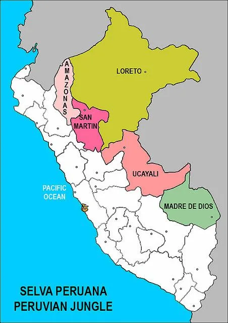 Comunidad Alice in Chains Chile: "Songlines &amp; Seatrails ...