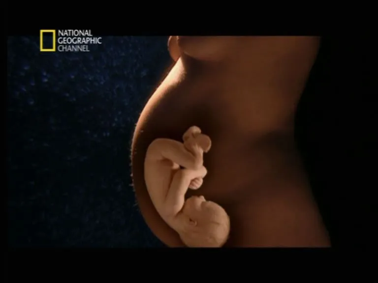 Comunidad Biomédica: octubre 2010