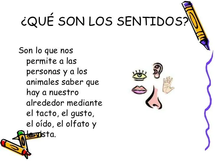 con-los-cinco-sentidos-2-728. ...