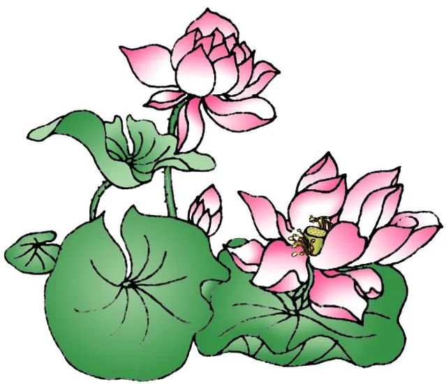 Concepción gráfica: Flor de LotoConcepción gráfica: Flor de Loto Concepción gráfica: Flor de LotoConcepción gráfica: Flor de Loto