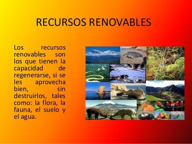 concepto-y-clasificacin-de-los ...