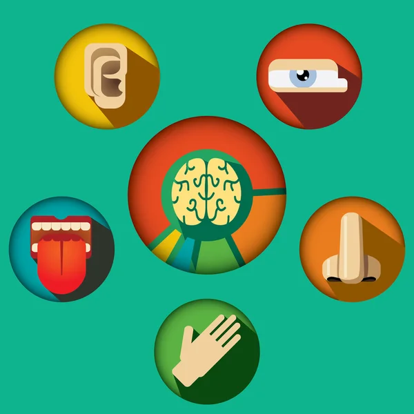 Concepto cinco sentidos con los iconos de los órganos humanos y ... Concepto cinco sentidos con los iconos de los órganos humanos y ...