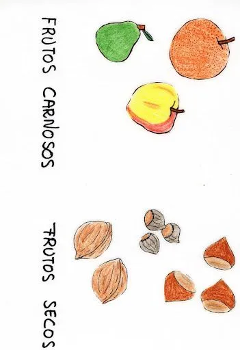 CONCEPTOS BASICOS PARA NIÑOS