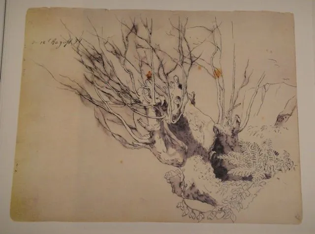 Naturalezas de Friedrich | Concha Huerta - Arte y cultura Naturalezas de Friedrich | Concha Huerta - Arte y cultura