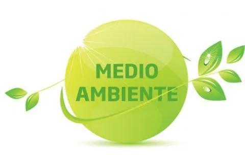 CONCLUSIONES DE FORO DEL MEDIO AMBIENTE A LA PRACTICA EN Q ROO ...