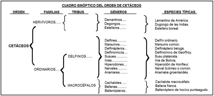Condiciones que limitan el desarrollo del turismo de observación ...