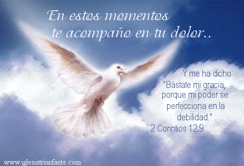 condolencias on Pinterest | Frases, Dios and Facebook