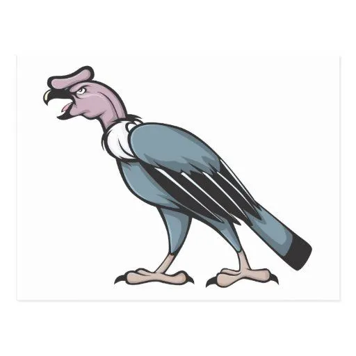 Cóndor andino enojado postales | Zazzle