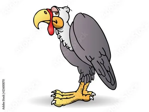 condor bird" Fotos de archivo e imágenes libres de derechos en ...