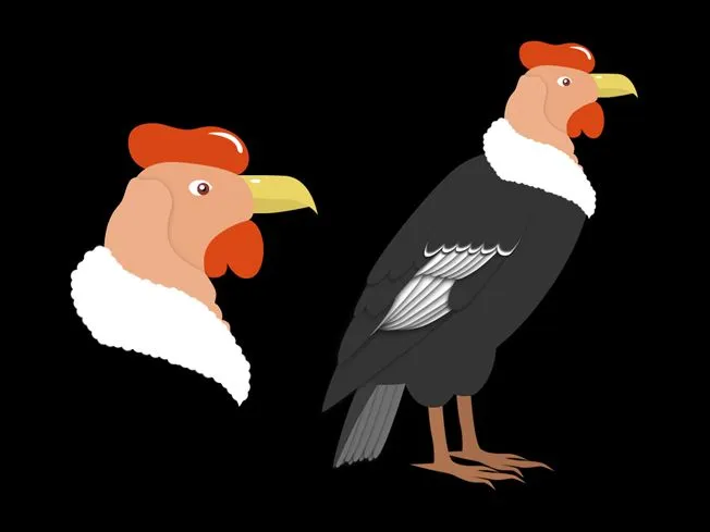 Condor animados - Imagui