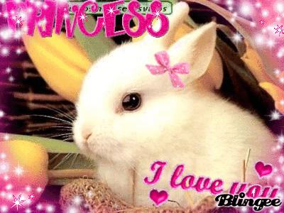 conejito tierno y lindo Picture #73974997 | Blingee.