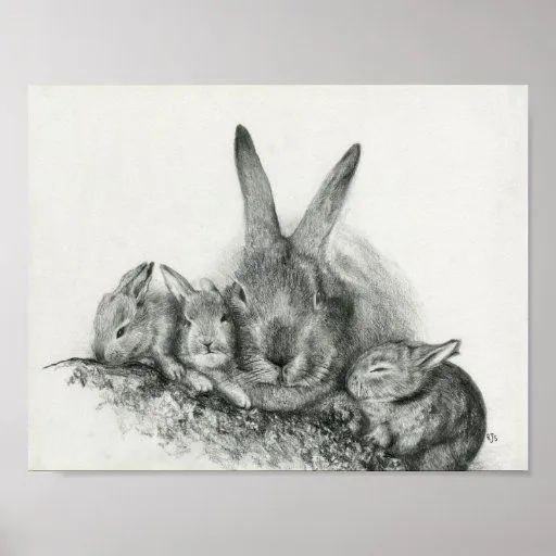 Conejo de Momma con el dibujo de lápiz de los cone Póster | Zazzle Conejo de Momma con el dibujo de lápiz de los cone Póster | Zazzle