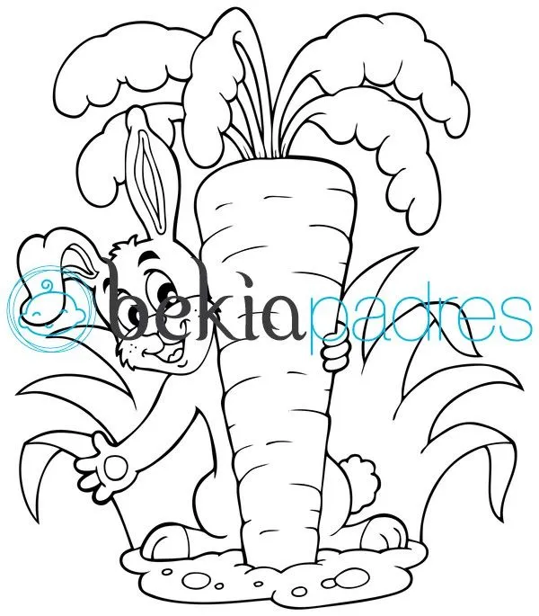 Conejo con zanahoria: dibujo para colorear
