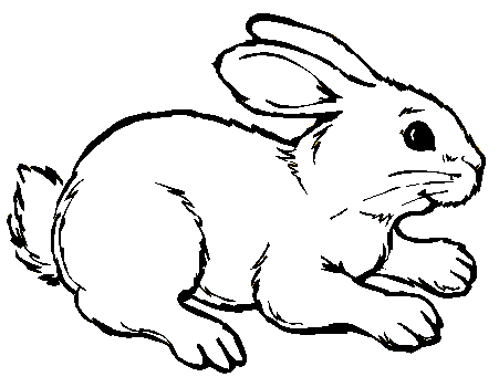 conejo+para+colorear+pintar+1.gif (451×341) | Mis próximos ... conejo+para+colorear+pintar+1.gif (451×341) | Mis próximos ...