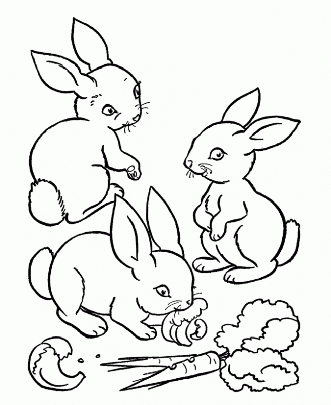 de Conejos para colorear. Dibujos infantiles de Conejos. Colorear ... de Conejos para colorear. Dibujos infantiles de Conejos. Colorear ...