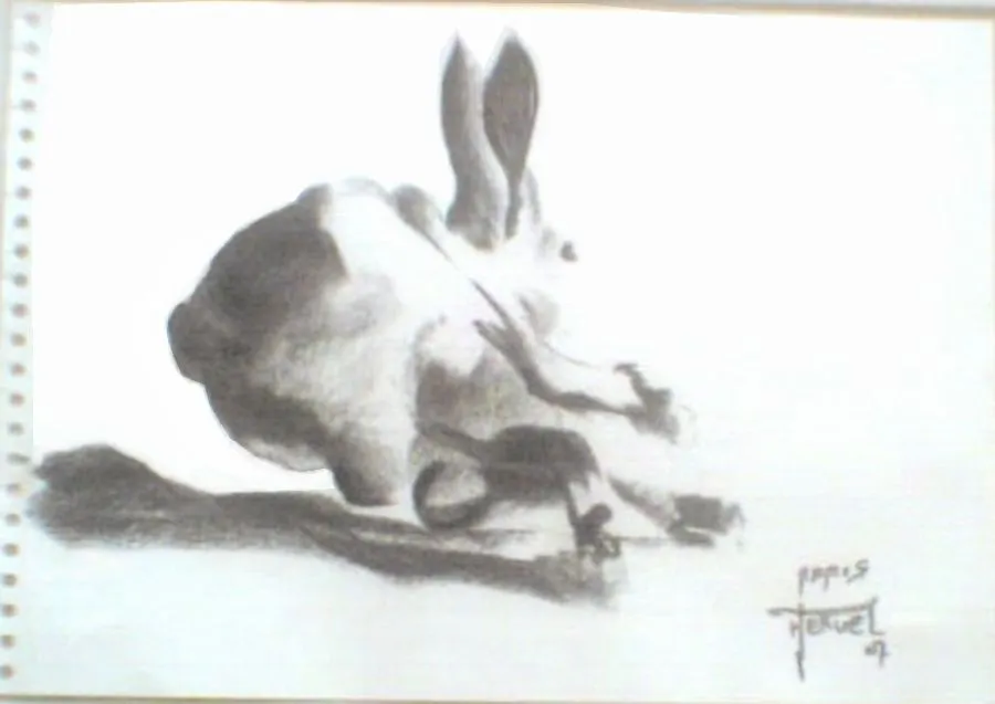 Conejos para dibujar a lápiz - Imagui