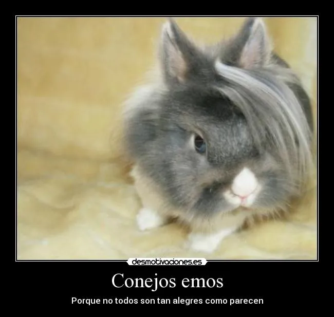 Conejos emos | Desmotivaciones