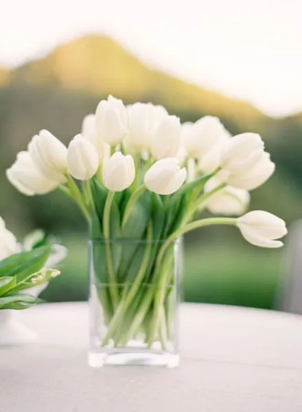 Confesiones de una boda: Flores de boda v.9: los tulipanes