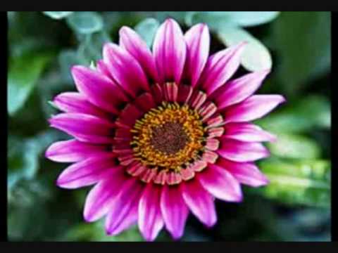 CONFESIONES''POEMA DE AMOR CON MUSICA, POESIAS ROMANTICAS, VIDEO ...