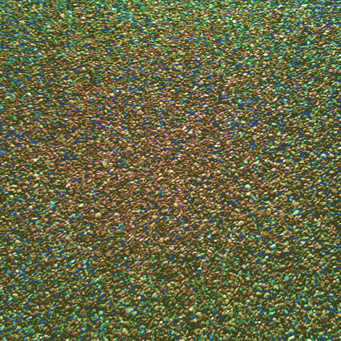 Confetti - I'M REVOLTING