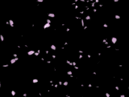 Confetti - I'M REVOLTING