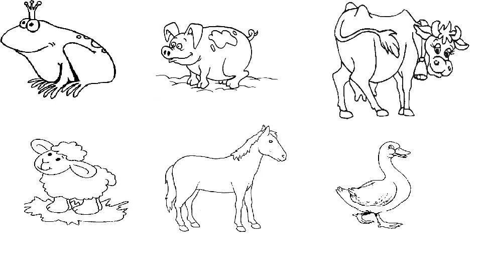 Conjunto de animales terrestres para colorear - Imagui Conjunto de animales terrestres para colorear - Imagui