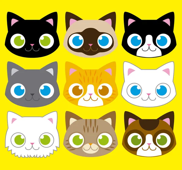 Conjunto de diferentes dibujos animados adorable gatos caras ...