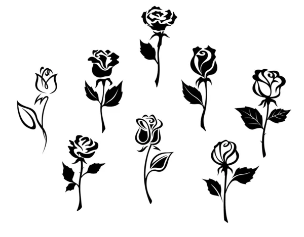 conjunto de hermosas rosas — Vector stock © Seamartini #13383507 conjunto de hermosas rosas — Vector stock © Seamartini #13383507
