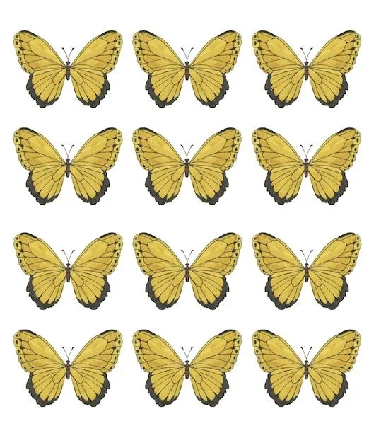 Conjunto de mariposas amarillas tropicales para imprimir. | Vector Premium Conjunto de mariposas amarillas tropicales para imprimir. | Vector Premium
