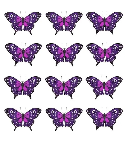 Conjunto de mariposas rosas tropicales para imprimir. | Vector Premium Conjunto de mariposas rosas tropicales para imprimir. | Vector Premium