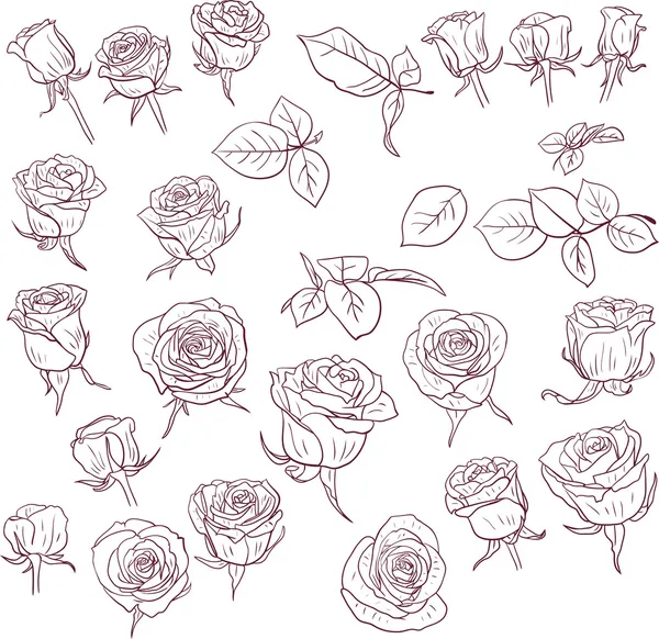 Conjunto de rosas dibujo lineales — Vector stock © cat_arch_angel ... Conjunto de rosas dibujo lineales — Vector stock © cat_arch_angel ...