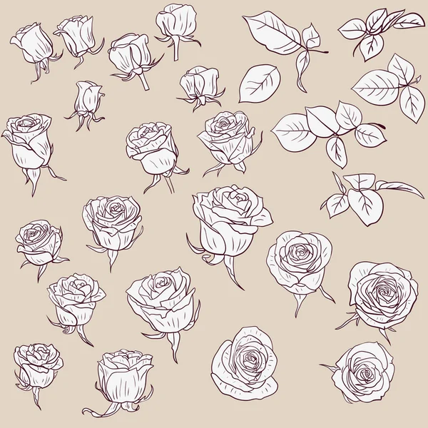 Conjunto de rosas dibujo lineales — Vector stock © cat_arch_angel ... Conjunto de rosas dibujo lineales — Vector stock © cat_arch_angel ...