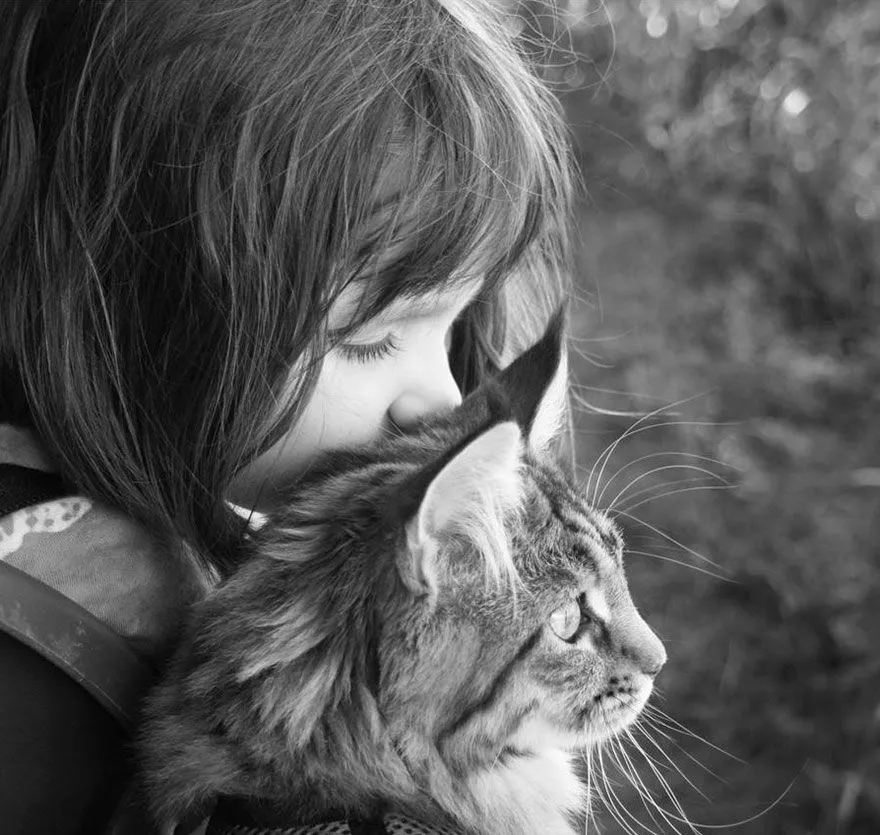 La conmovedora historia de esta niña autista y su gato hará que te emociones.