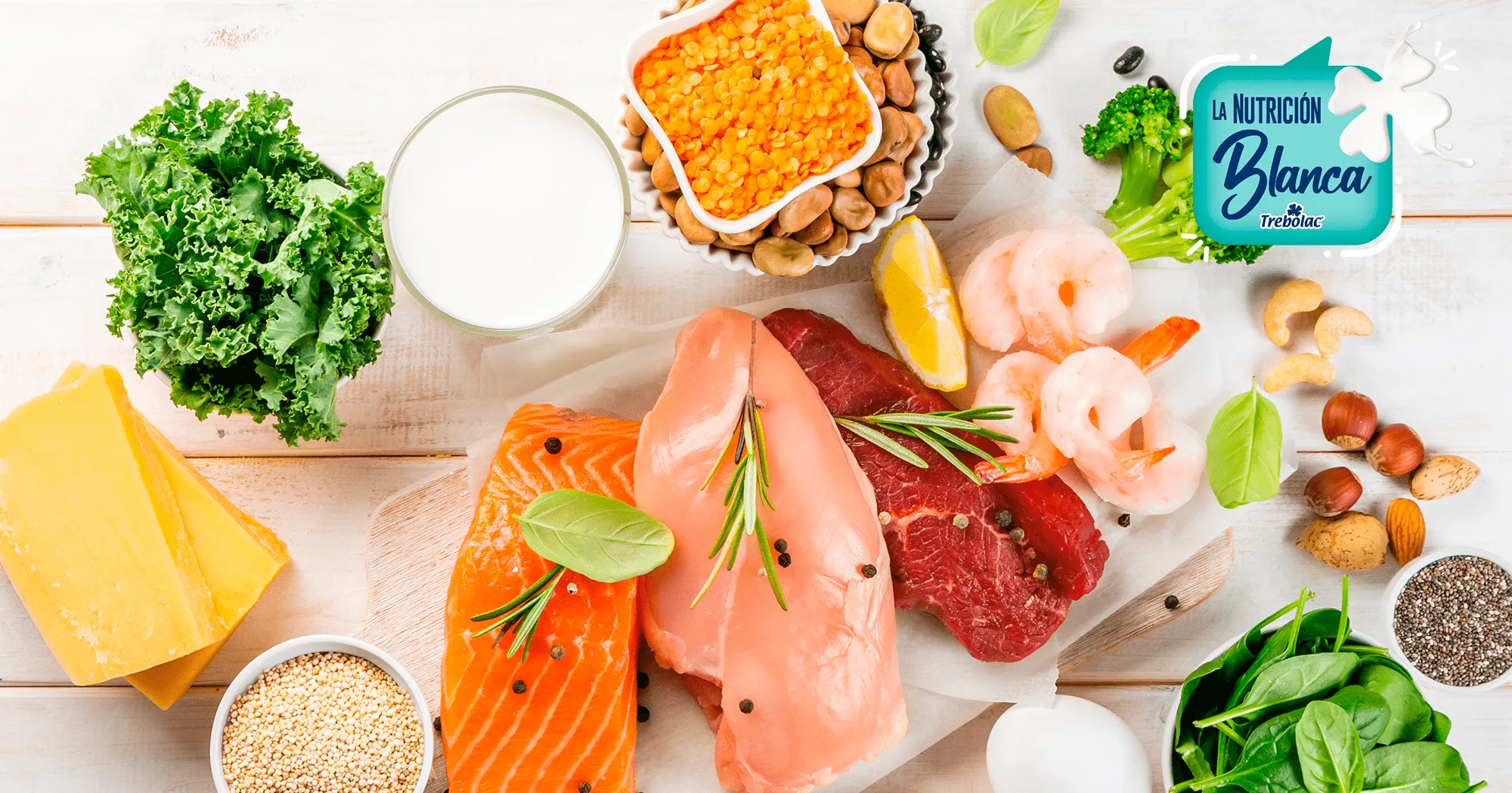 Conoce los alimentos constructores y sus beneficios - La Nutrición Blanca Conoce los alimentos constructores y sus beneficios - La Nutrición Blanca