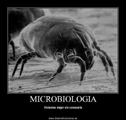 Butterflies and hurricanes: Microbiology