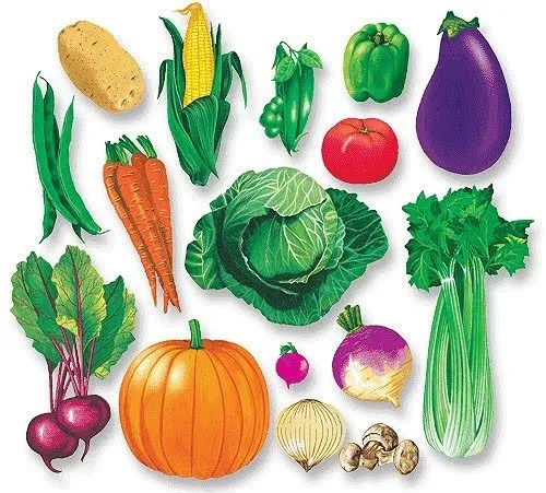 Conoces los Vegetales Verdes? » El Poder de Vivir Saludable y Feliz Conoces los Vegetales Verdes? » El Poder de Vivir Saludable y Feliz